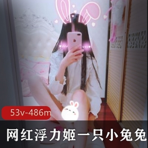 推特风神秘FL姬小兔兔白丝合集